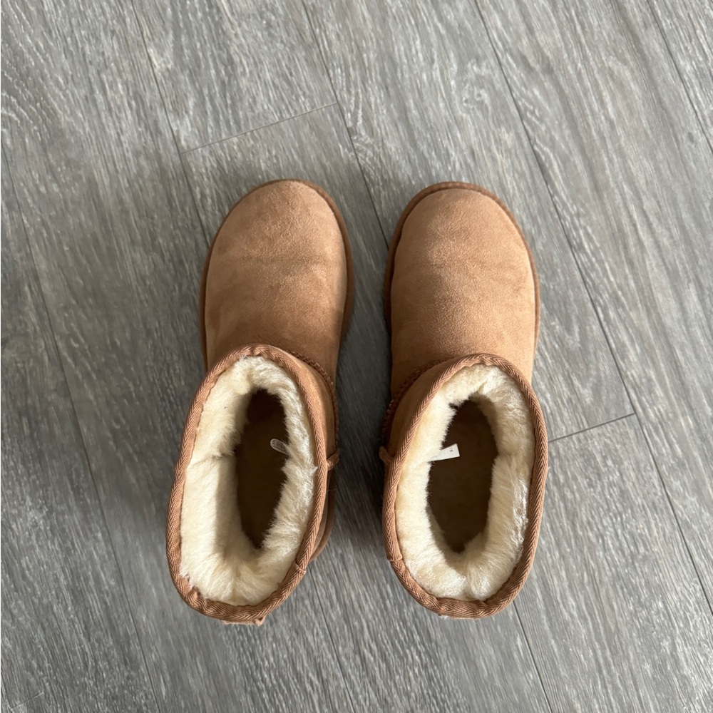 UGG Chestnut Mini Boots - Picture 8 of 16
